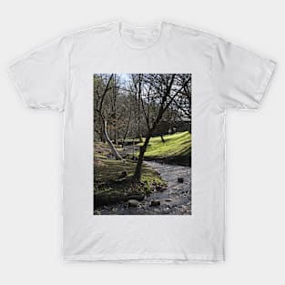 Babbling Brook T-Shirt